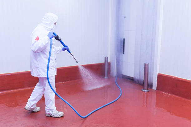 Spring Cleaning in Whitesboro, NY
