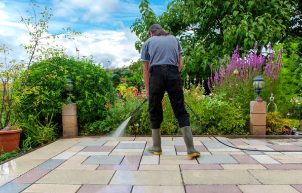 Best Winterizing Services  in Whitesboro, NY